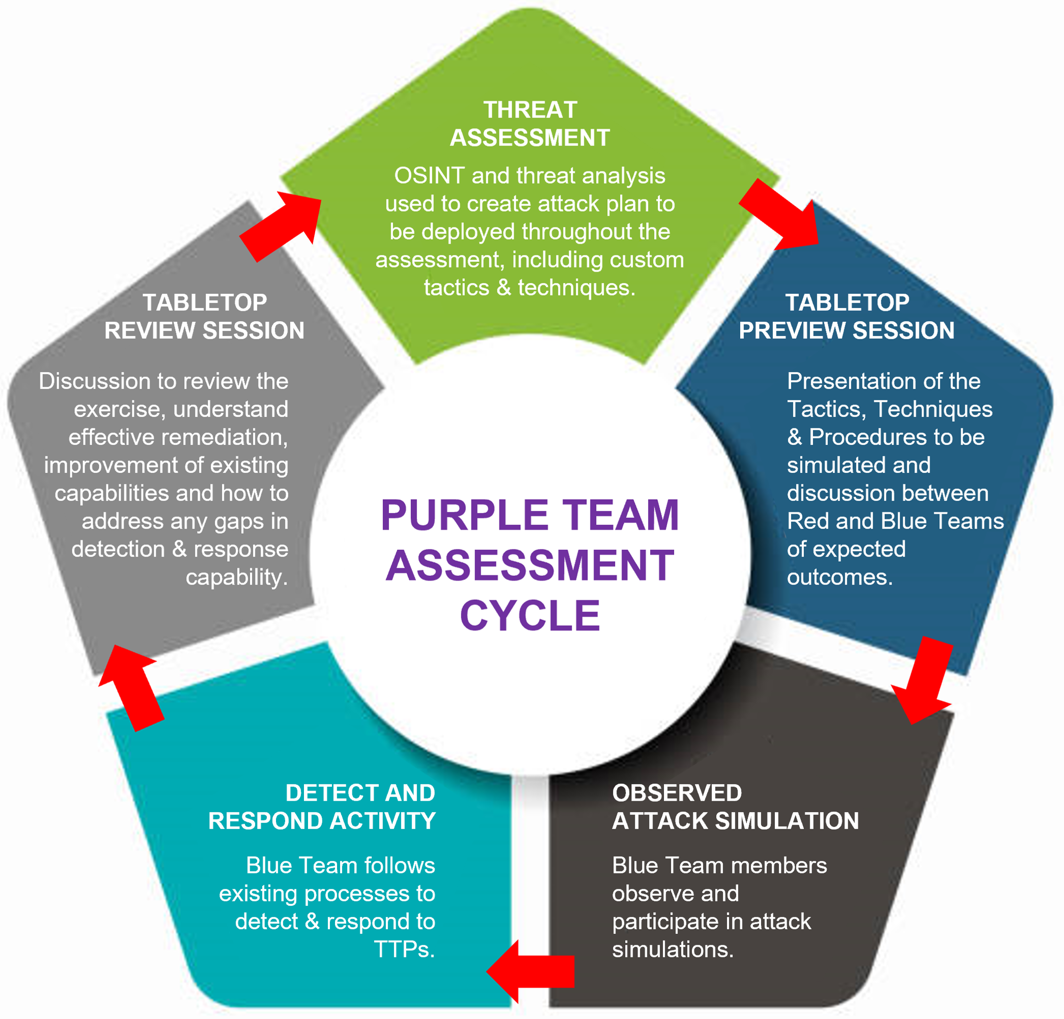 Purple Team Cycle 2.png